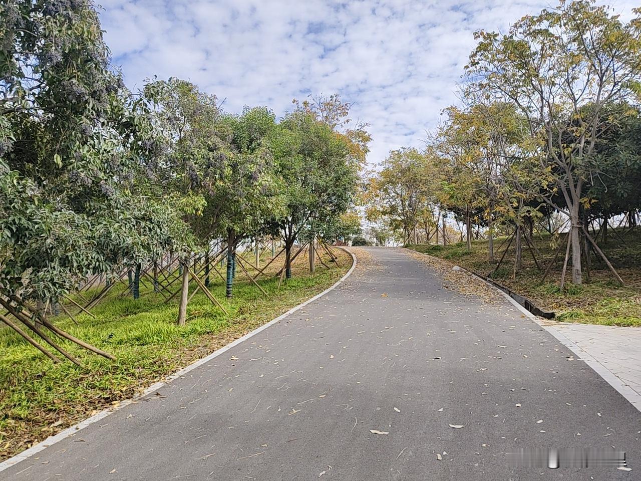 写不出爆款文章，还该坚持吗