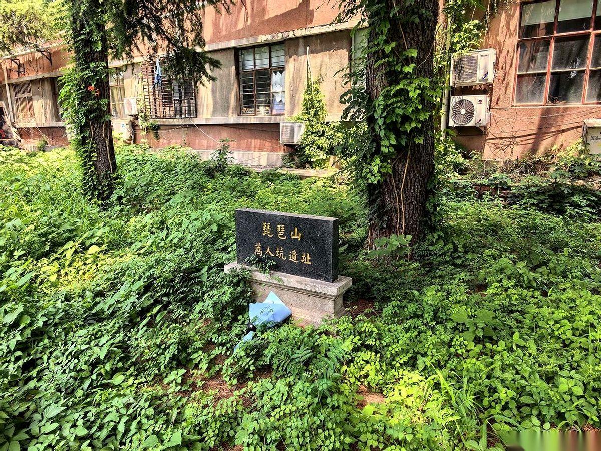 济南南辛庄西路138号，中午最毒的日头晃得人睁不开眼。旁边饭馆的排风扇正呼呼往外