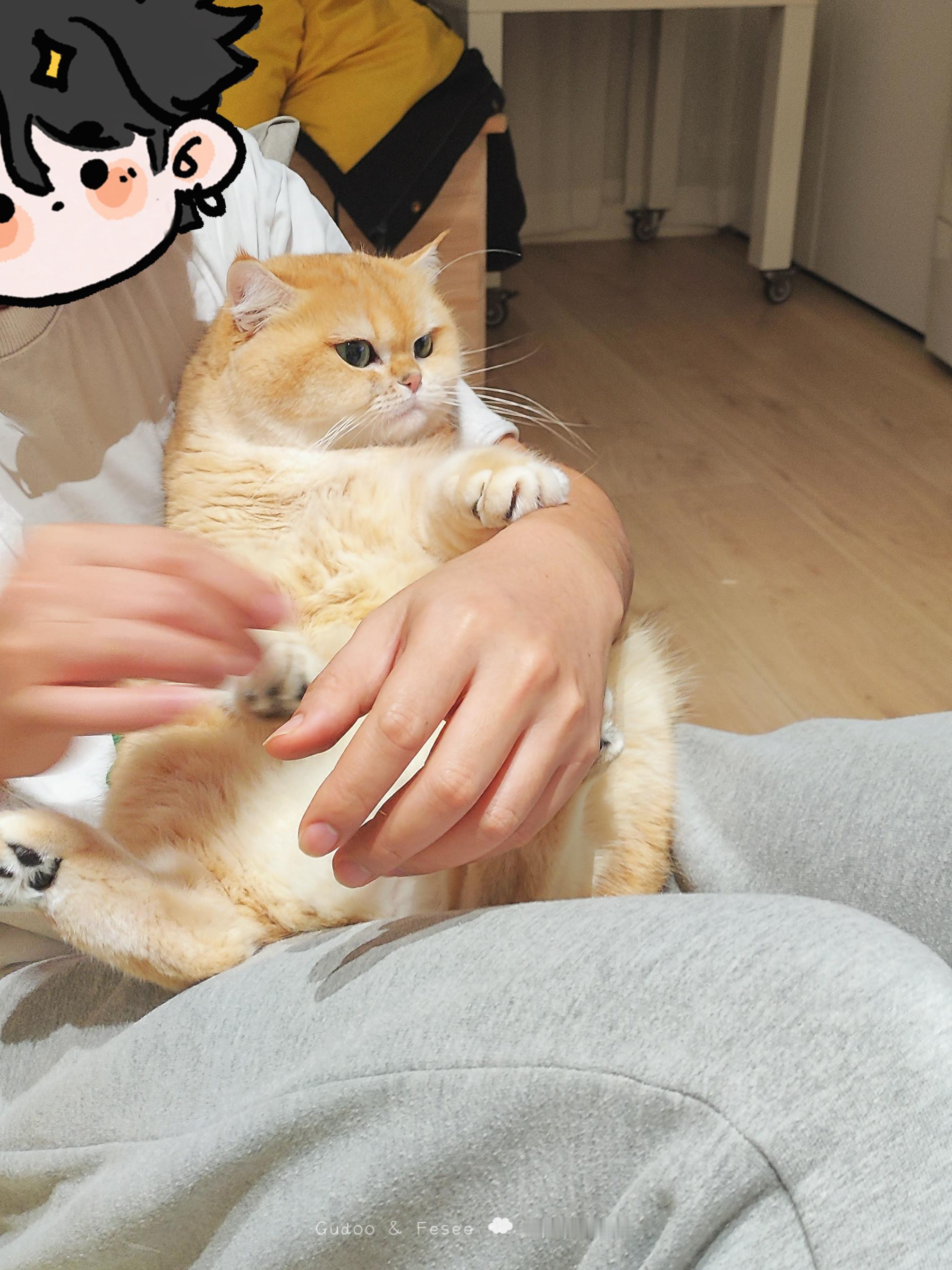 不要不要剪指甲[哼]#菇冬怎么肥四[超话]##萌宠闹新春# ​​​