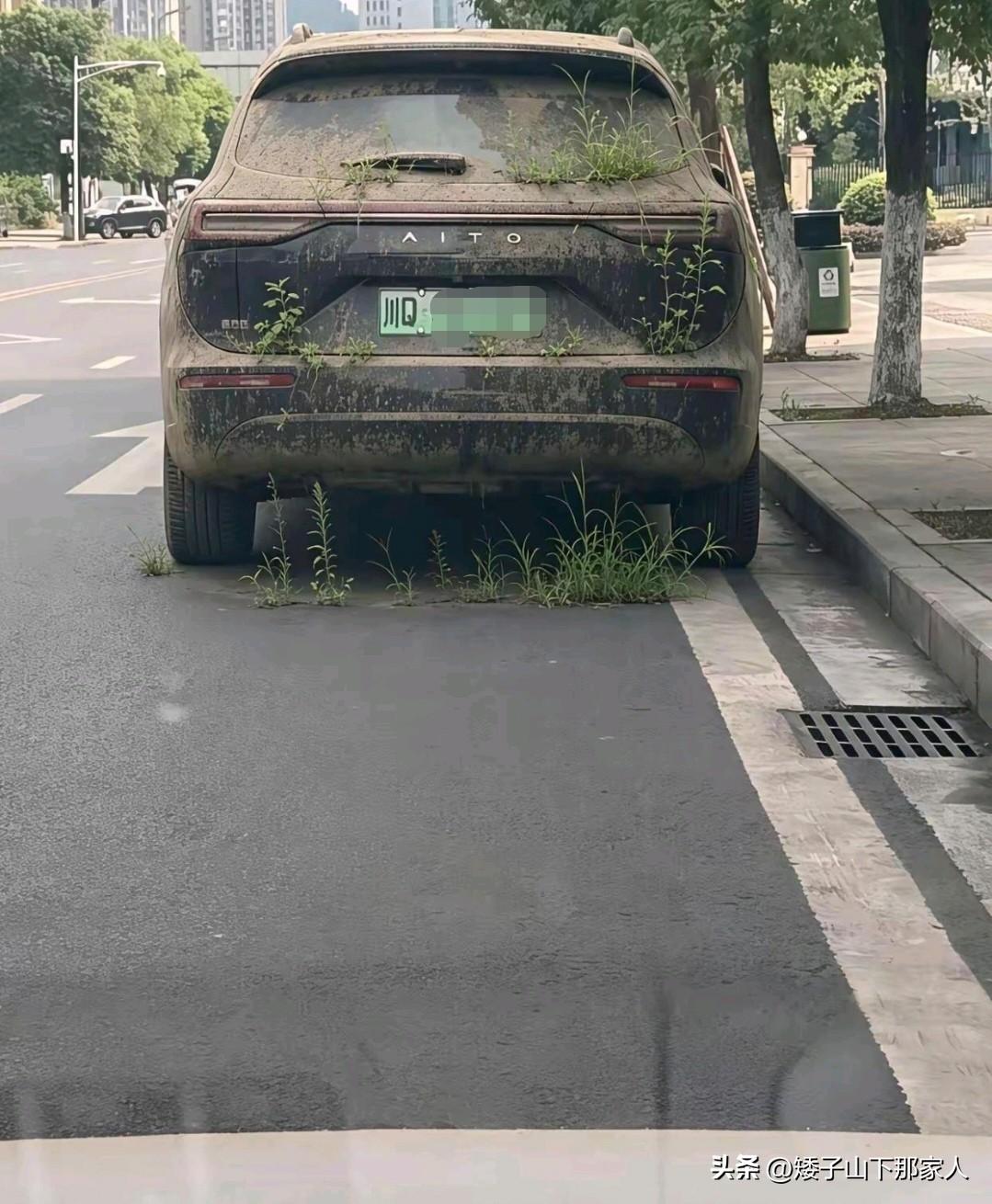 四川的兄弟，你的爱车长草了，快了清理一下