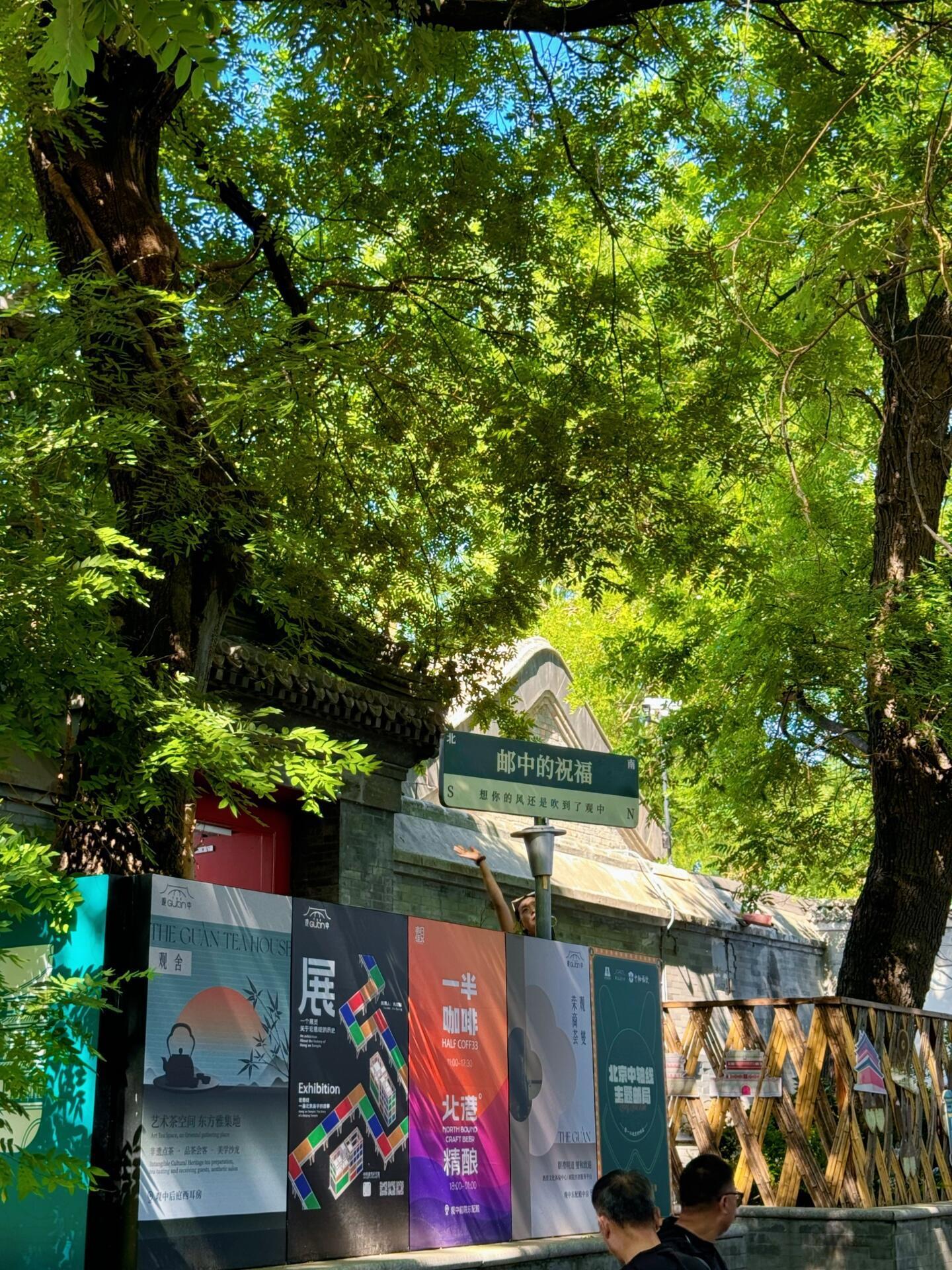 北京胡同里的初夏☀️