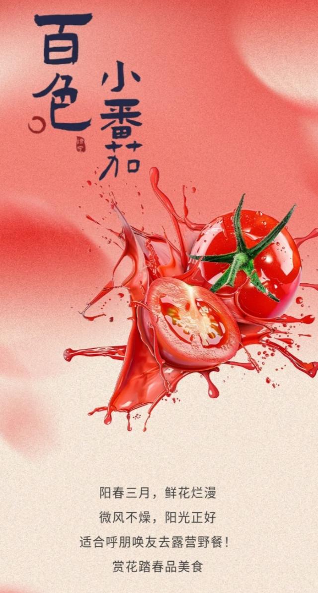 【五彩番茄映春光：来自百色的春日野餐邀约】