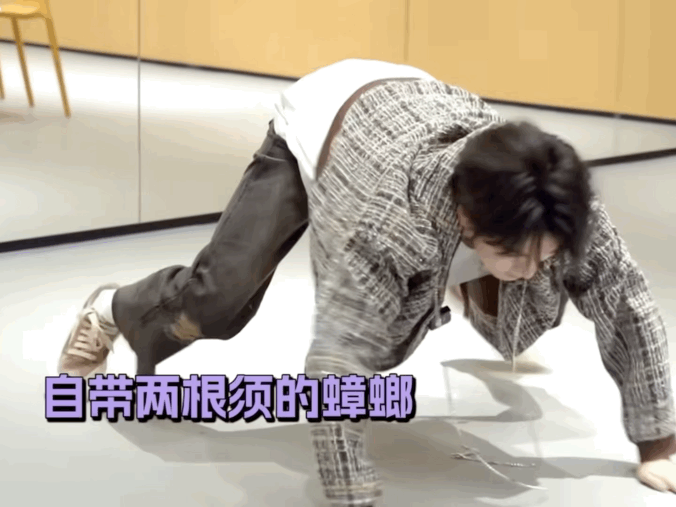 这个世界真的没你俩在意的人了是吗哈哈哈哈哈哈  