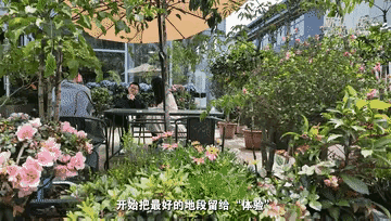 当钢筋水泥的城市森林里悄然开出一片“田园风光”，你是否愿意走出家门，去感受那份久
