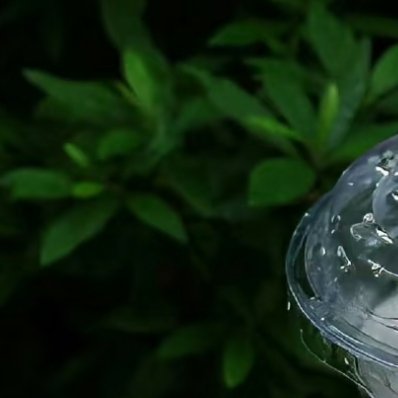 0000生活从来不会亏待认真努力的人。哪怕暂时看不到光亮，也要把脚步走稳，把心态