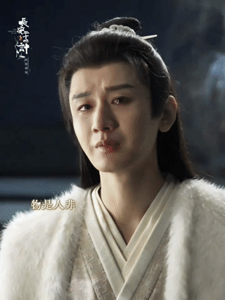 没报的仇不能回的家和破碎的他，十五年颠沛流离躲追杀，家再也回不去，仇始终没处报，