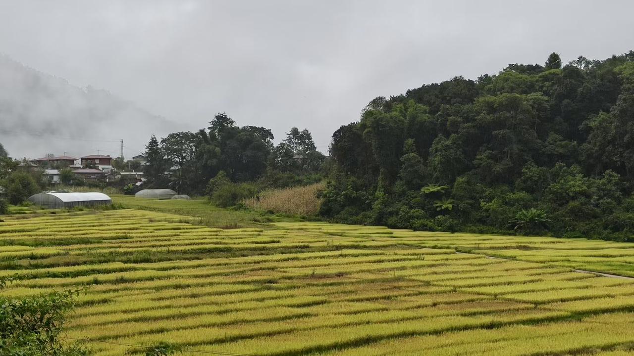清晨七点从墨脱县城启程，沿着G219一路向前，途经达木乡、格当乡，翻越群山，来到