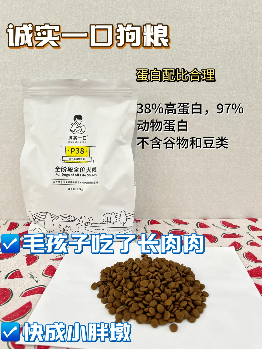 幼犬肠胃狗粮怎么选？说点大实话......