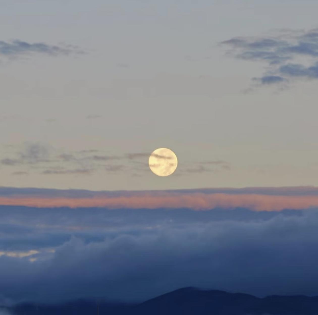 我这辈子最佩服的人就是我哥，我哥34岁就离婚了，直接净身出户了

那天他拖着行李