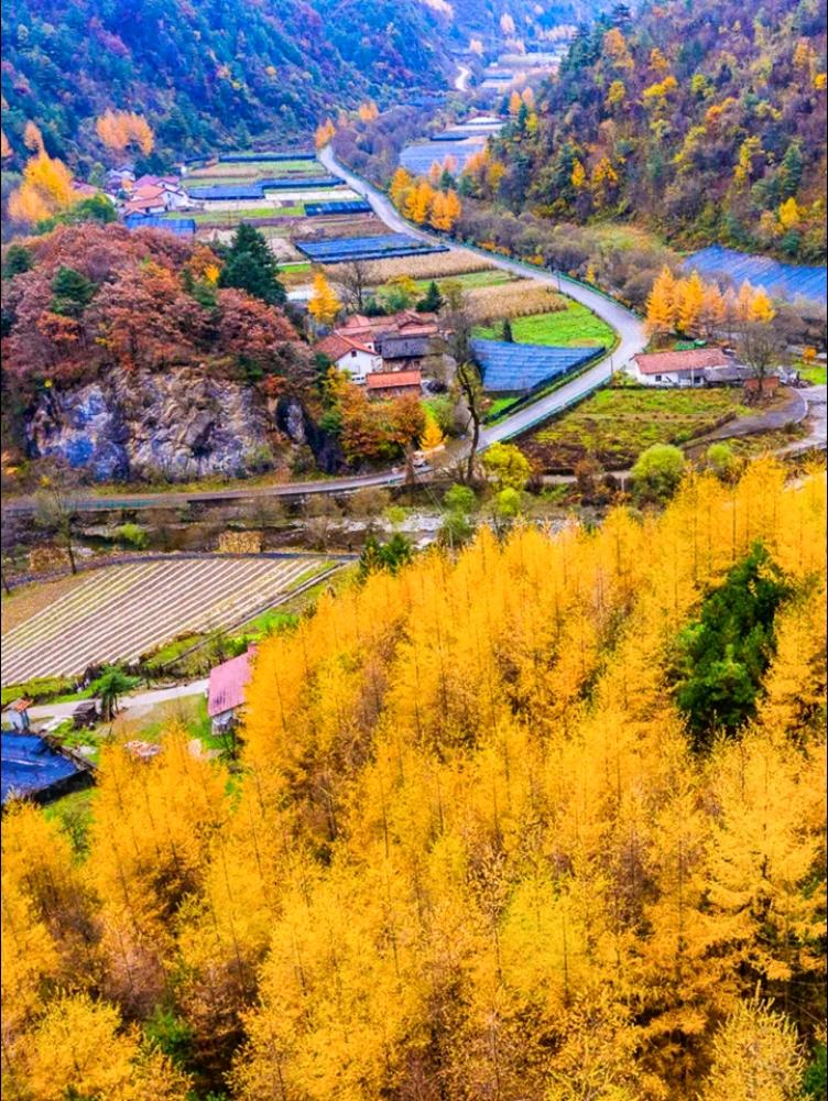 远山和炊烟，狗和田野，我遇见这秋天。#旅行推荐官 #远离城市的喧嚣 #一起来拍秋