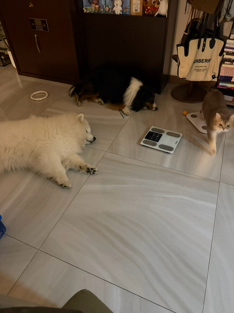 为什么睡觉也像小猪啊……（我可没说是谁，总不踩一捧一了吧） 