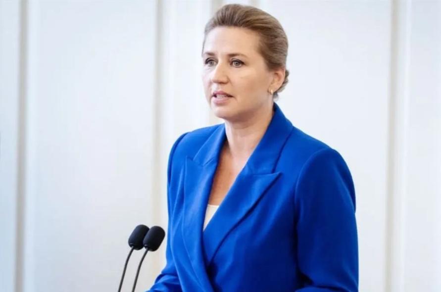 丹麦人买新车，现在已经卷到没别的选项了，今年一季度，当地私人消费者入手的新车里，