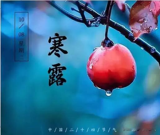 今日是寒露，深秋的时令，随着温度的降低，昼夜温差比较大，特别是早上和晚上，注意添