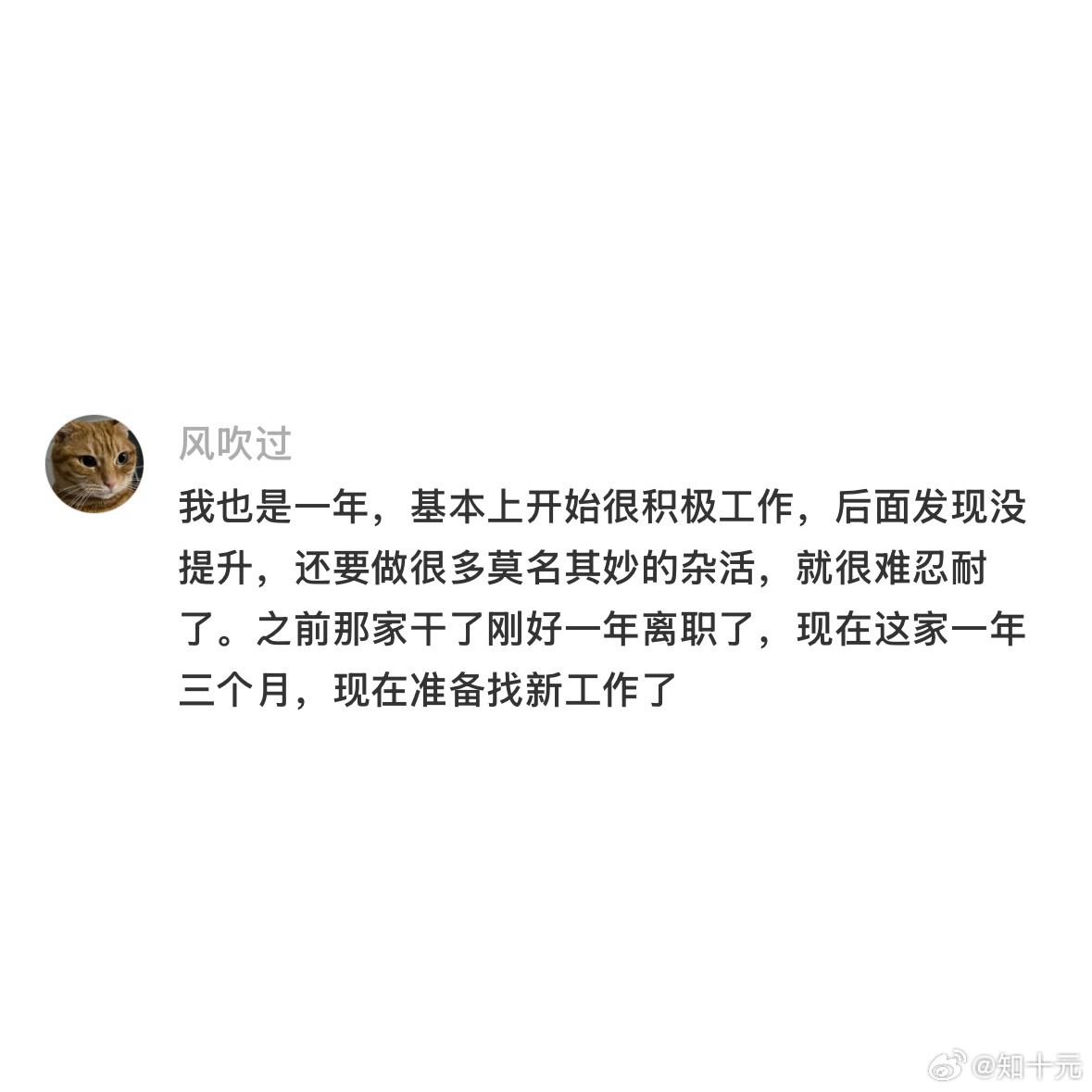 对一份工作的容忍程度只有两年，忍到极限就会想要撕破脸，不再提供情绪价值