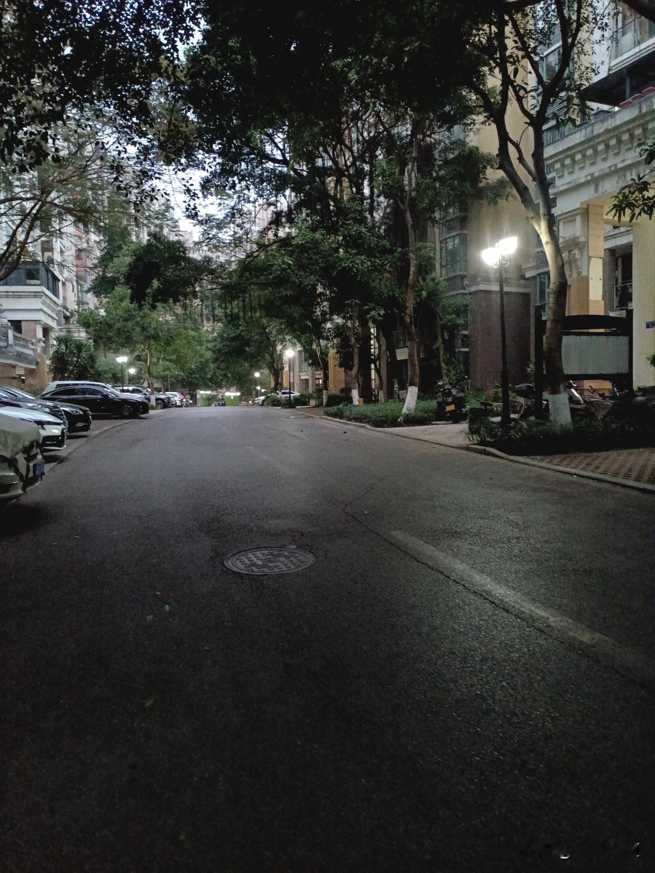 看到头条有人晒自己小区绿化的，顺手也拍几张，1000多户的小区，现在寒潮，今天广