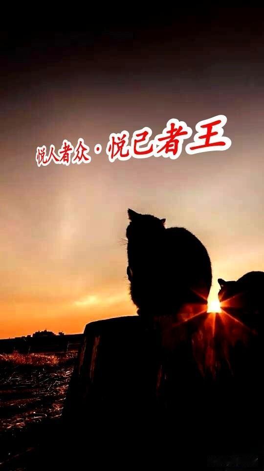 🍁节奏紧凑的一天
清晨5点准时起床，整个上午马不停蹄；中午挤出一小时运动；下午