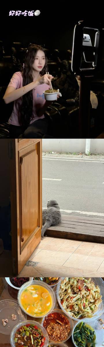 张艺凡演我看见小猫一步三回头捕获张艺凡只需要一只小猫 原来捕获张艺凡只需要一只小