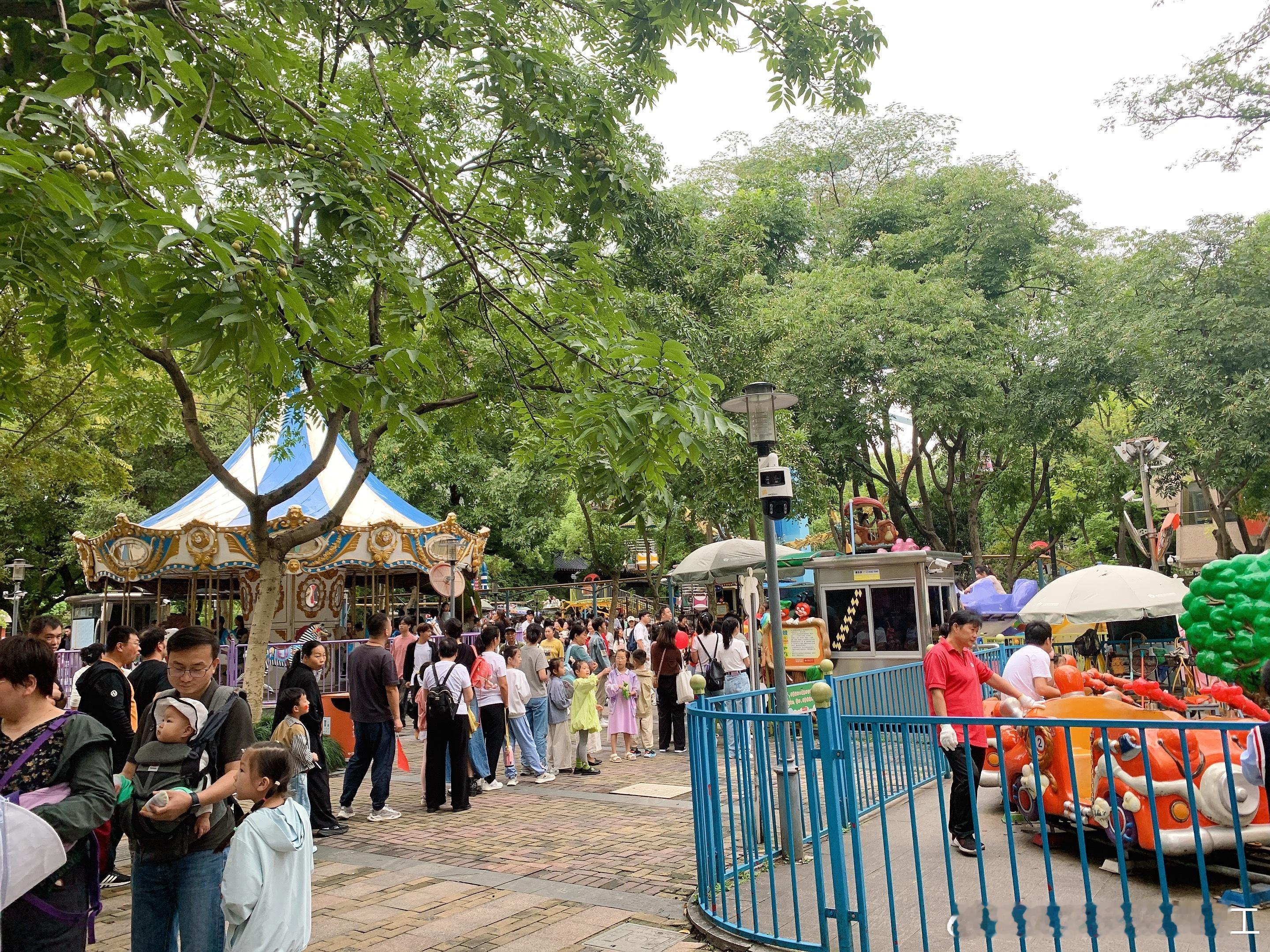 出门过节消费～向大家推荐一下杭州最具性价比的溜娃胜地—西湖边的少年宫！这里有一个