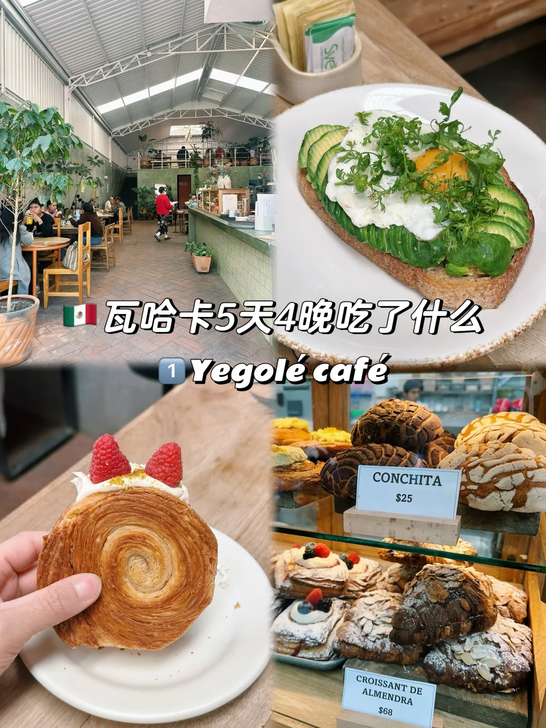 🇲🇽瓦哈卡5天4晚｜这座城市太让人上瘾了