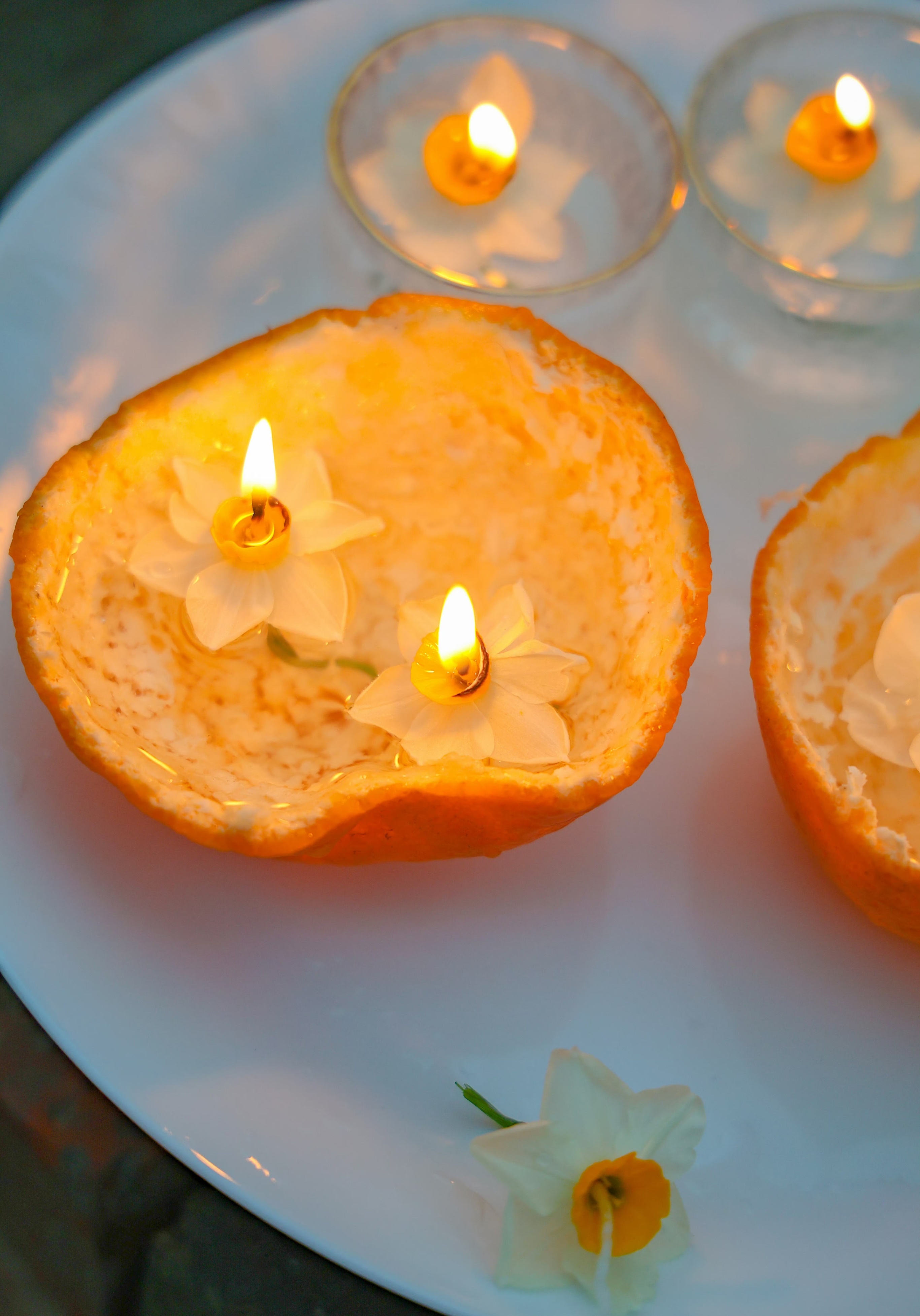 早呀，二月的第一天，祝你开心好运🍊🍊🍊 