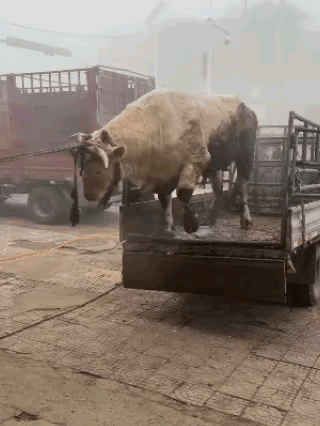 我看不懂，
就不能弄一个斜坡吗？