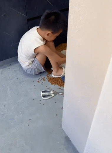 狗：这日子怎么可能跟谁过都一样 ​​​