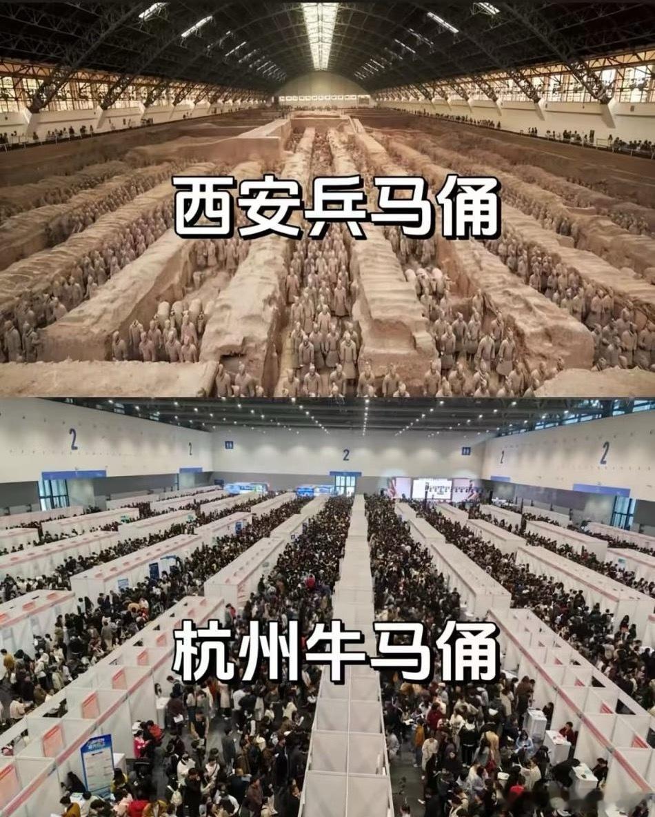 就业岗位条条框框，比土还硬 
