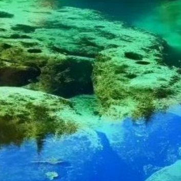 每日一善每日一善 [音乐]阳光‎信用 您好一起保护大自然与社会携手做公益关爱唇腭