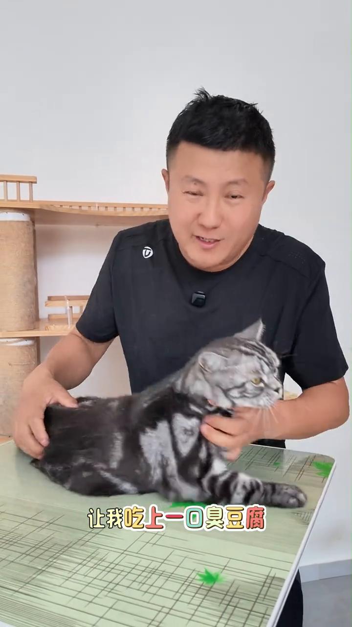 你们说我这粉丝有多损？昨天有一个粉丝在评论区说让我吃上一口臭豆腐，给猫吐上一口，