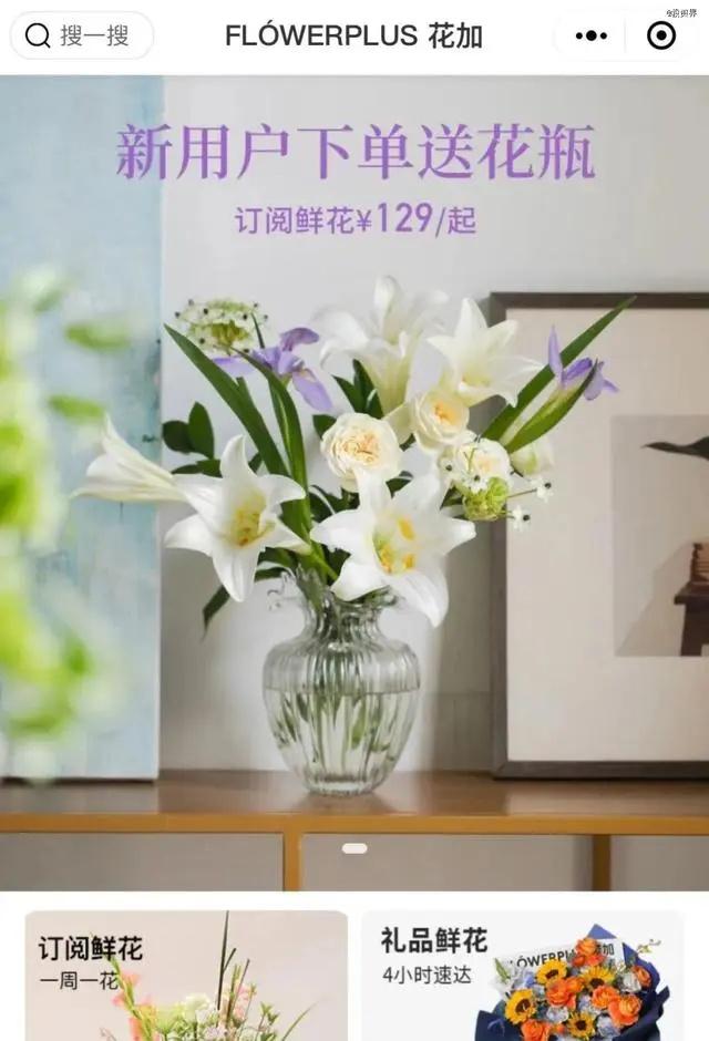 2015年成立的鲜花电商平台花加最终还是走到破产清算这一步。去年9月，其进入停业