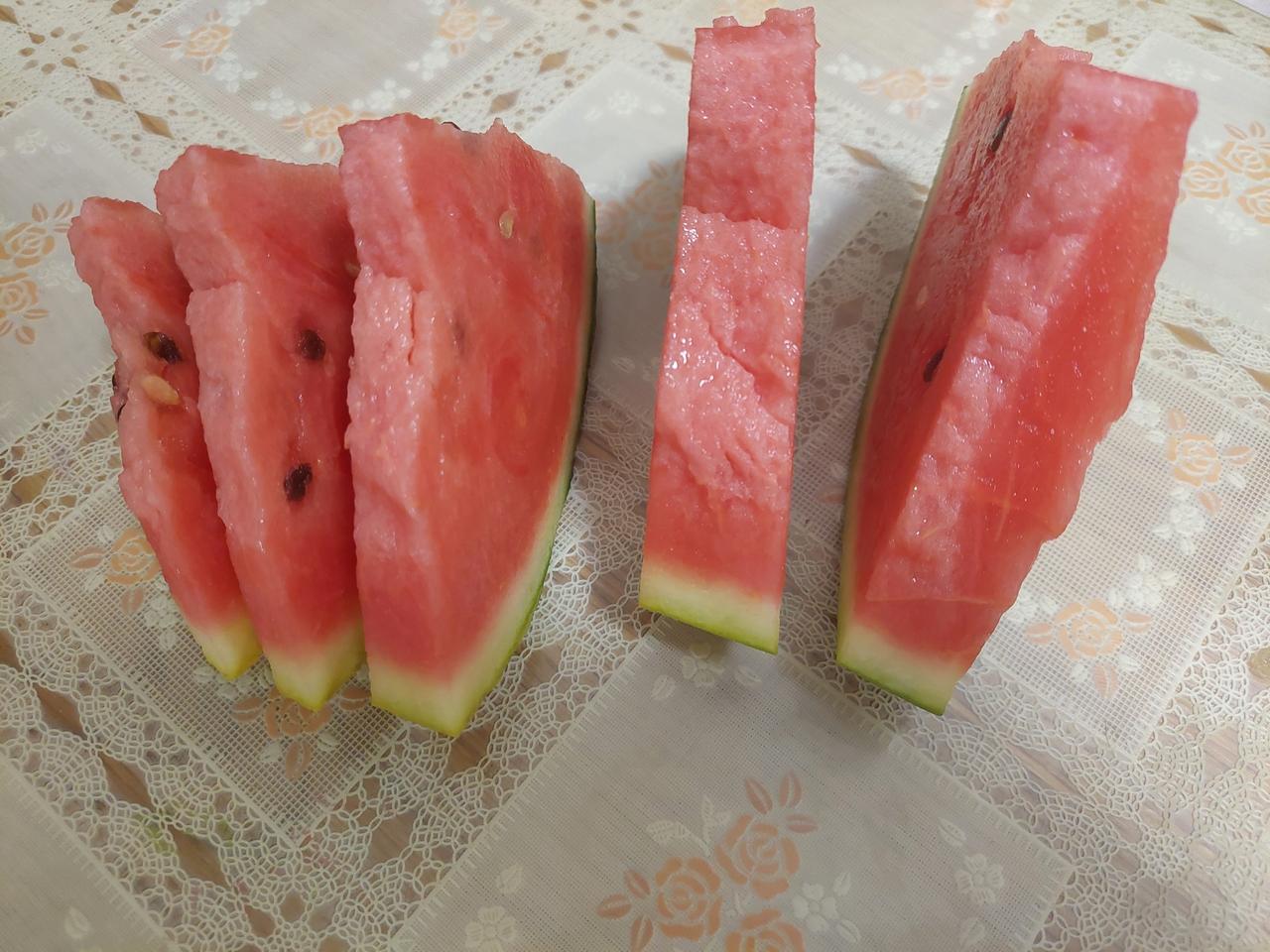 今天 29°，我屋终于开了空调扇。一开始小狗子在我屋来回窜，有点懵，寻思这是个啥