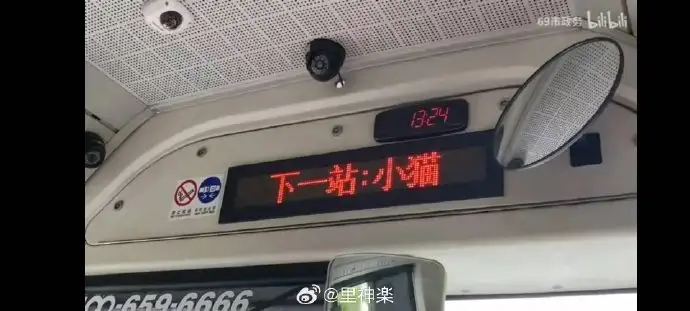 有小狗吗？<img src=