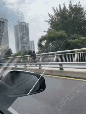 好像是条大鱼在游街