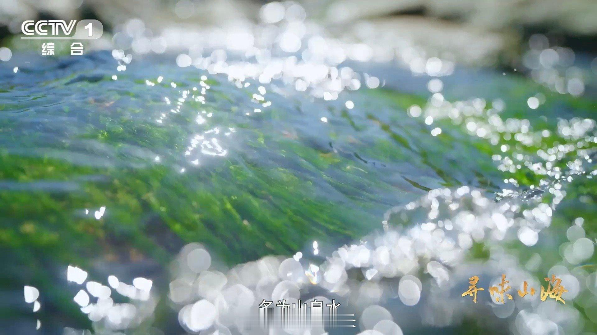 福建有种鸭越老越贵 连城白鸭，老而弥珍。市场法则在这里被改写：年龄即价值。专家亲