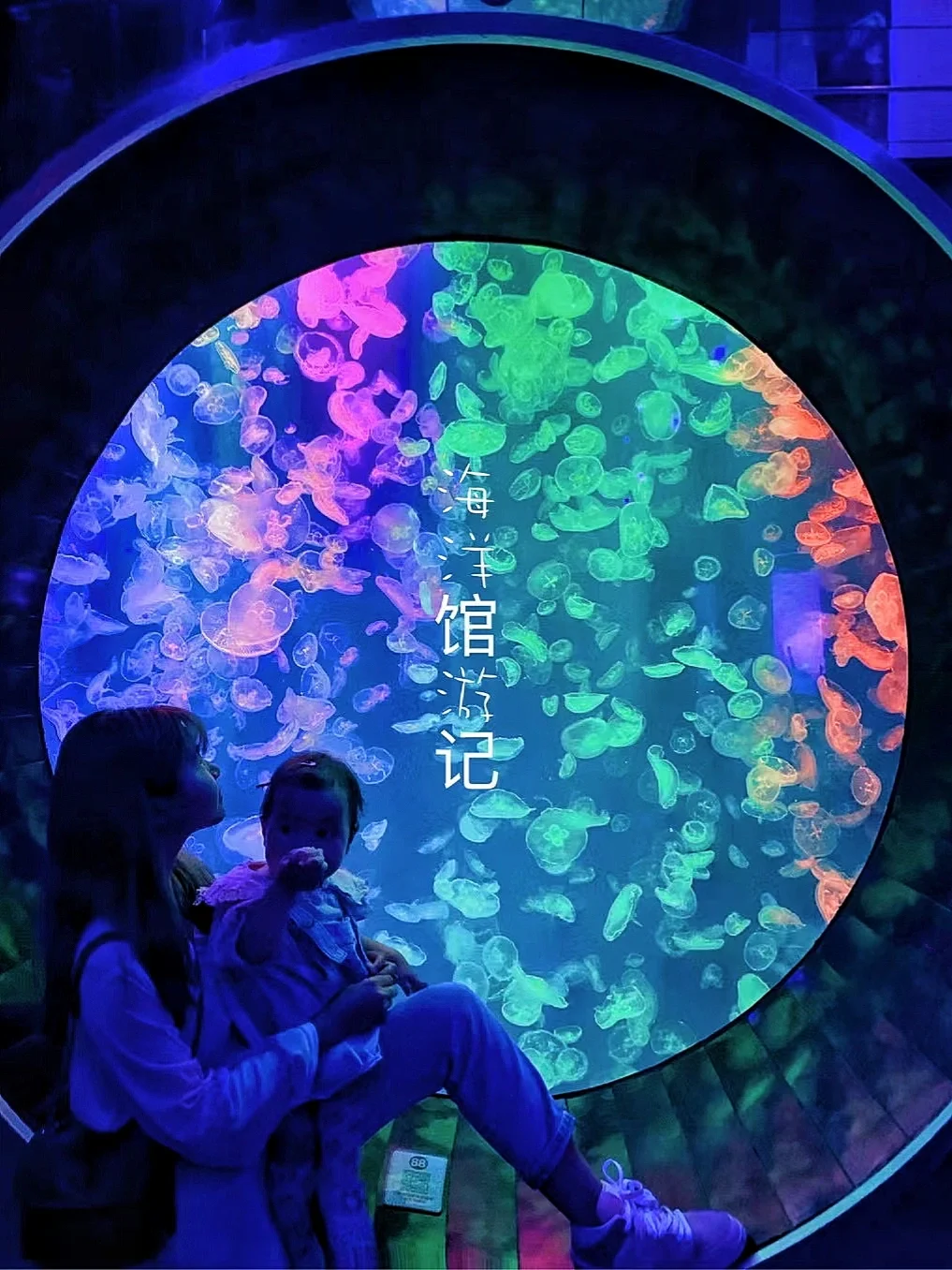 成都遛娃第2⃣️5⃣️记｜开在商场里的“海洋馆”