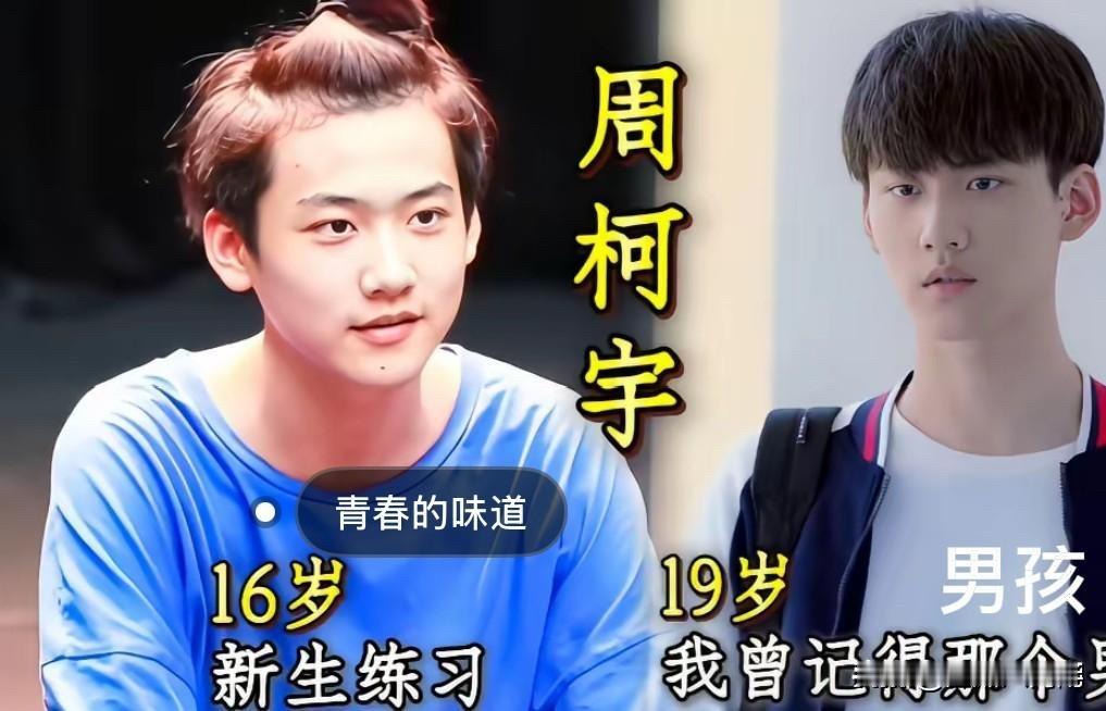 从16岁到24岁，周柯宇的4个“剧抛脸”：痞帅校霸、年下弟弟、财阀少爷，全是他
