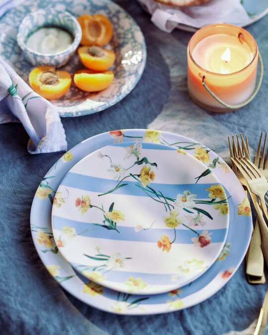 故事的小黄花🌼