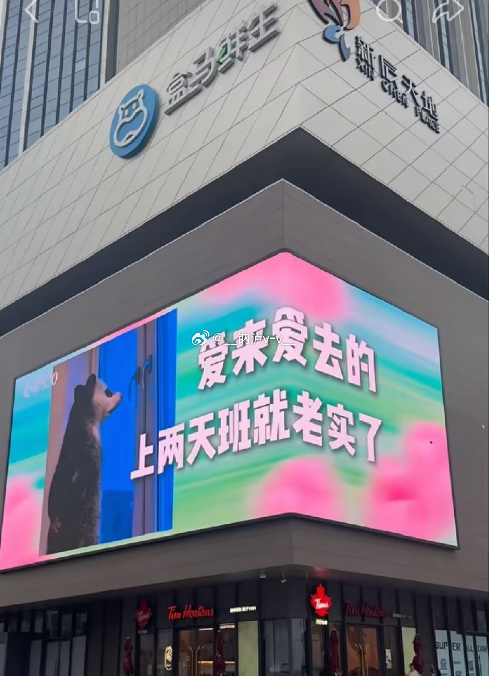 520是什么？5天工作2天加班0天休息。好地狱的文案。520文案