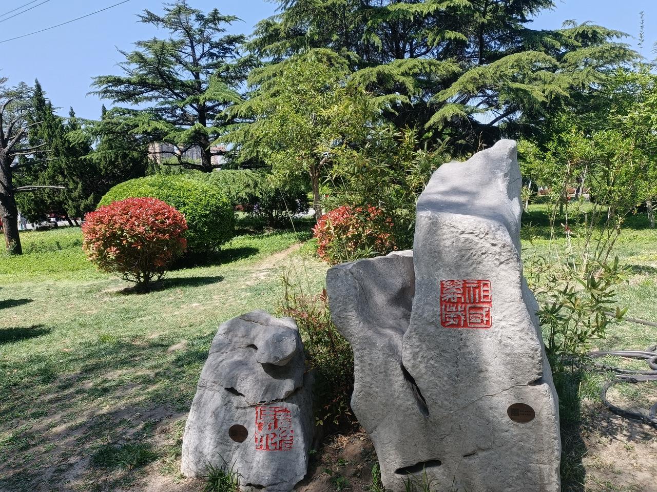 七分练三分养，
这是青年时期的练法，
年纪大了，再往下调调，
五六分练，四五分养