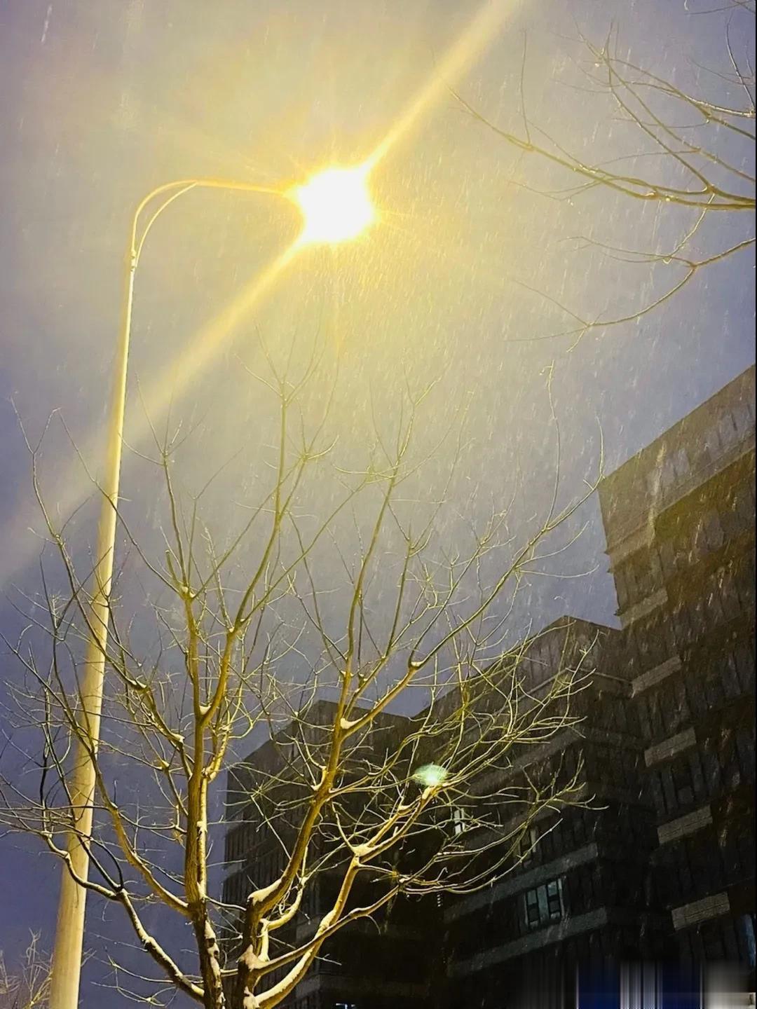 北京2023的第一场雪，比往年来的更晚一些