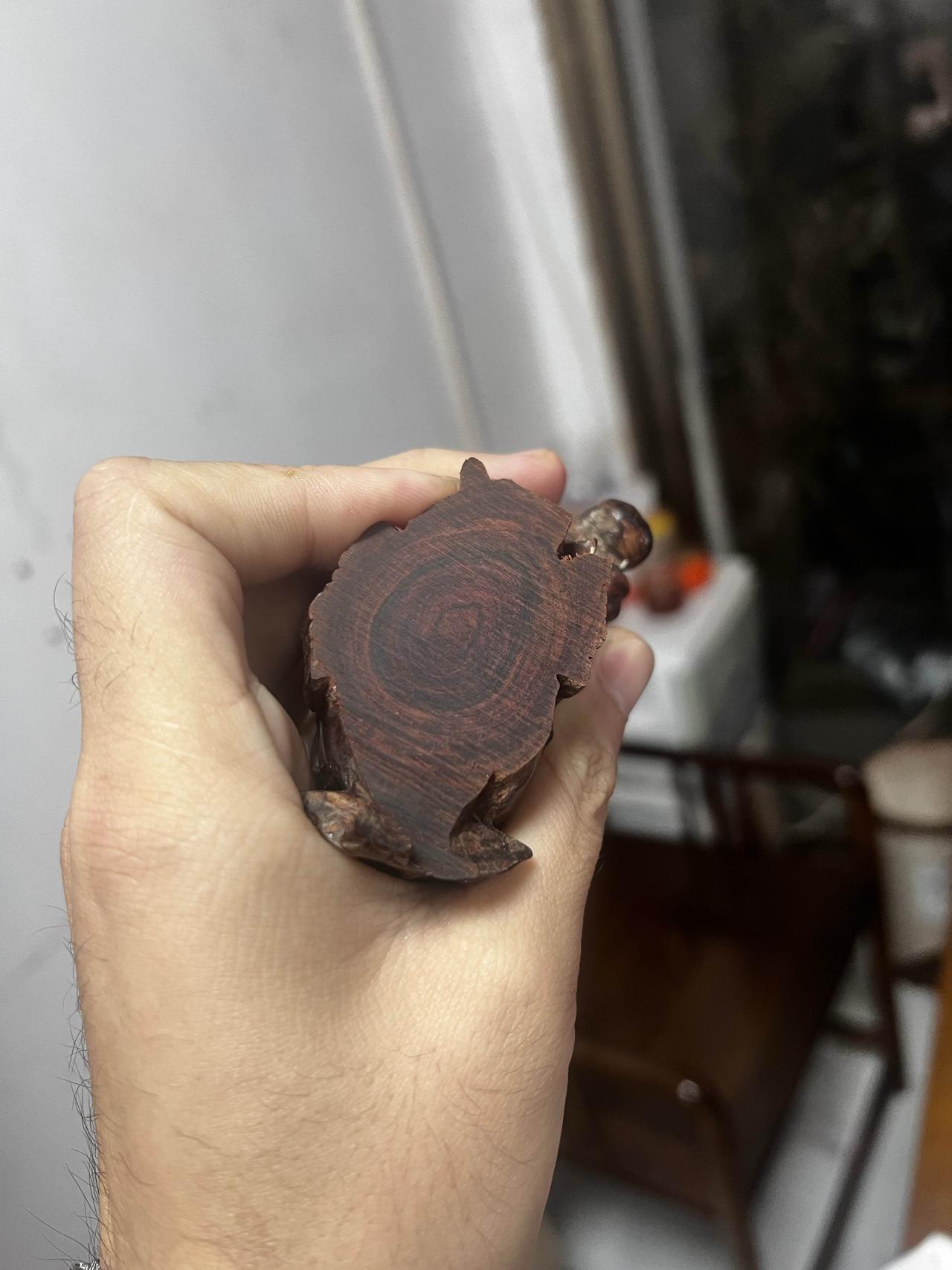 什么是黄花梨非常典型的一根海南黄花梨紫油梨对眼原木料，可以出一串2.0到2.2之