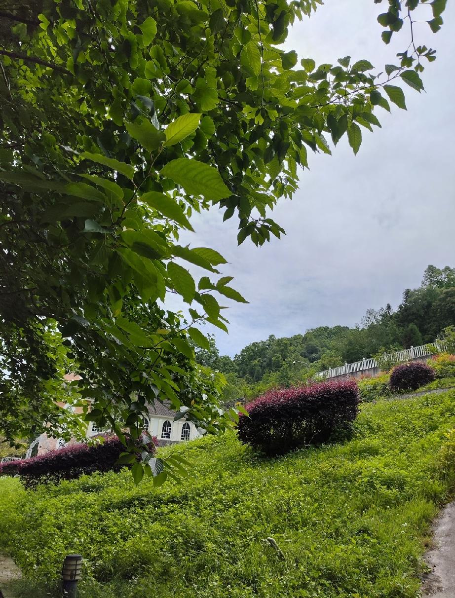 人到中年，渐渐偏爱独处品茶。

年轻时节总在盲目奔波，执着名利与脸面，总惦记旁人