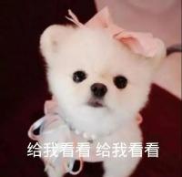 SSR交换站 再看看1005编的