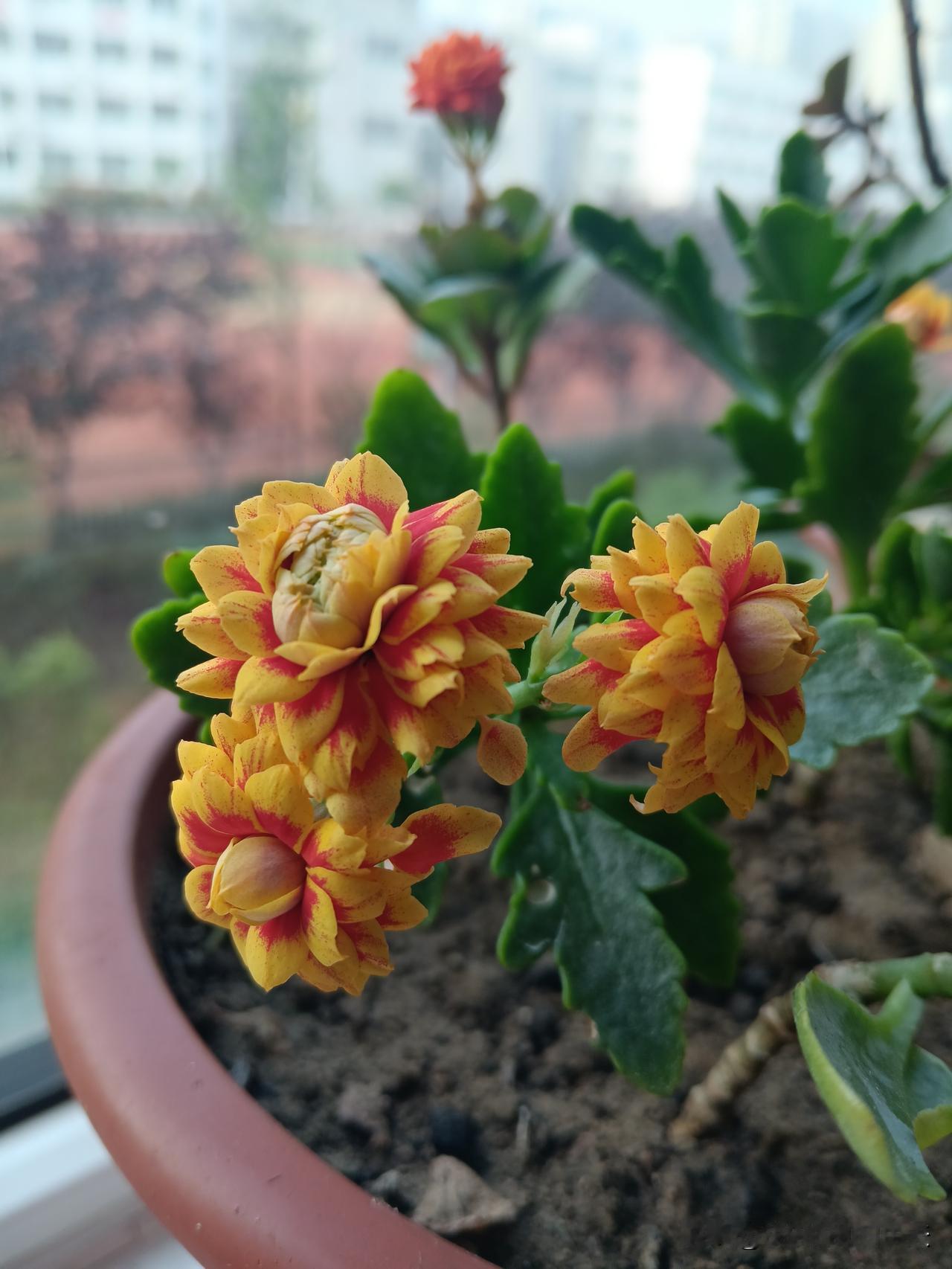 1、再想，不碰野花。
2、再穷，不碰法律。
3、再忙，不忘记家人。
4、再久，不