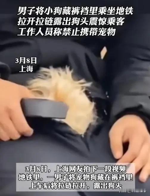 太奇葩了，3月8日，在上海地铁18号线，发生了一件超级诡异的事。有个看起来二三十