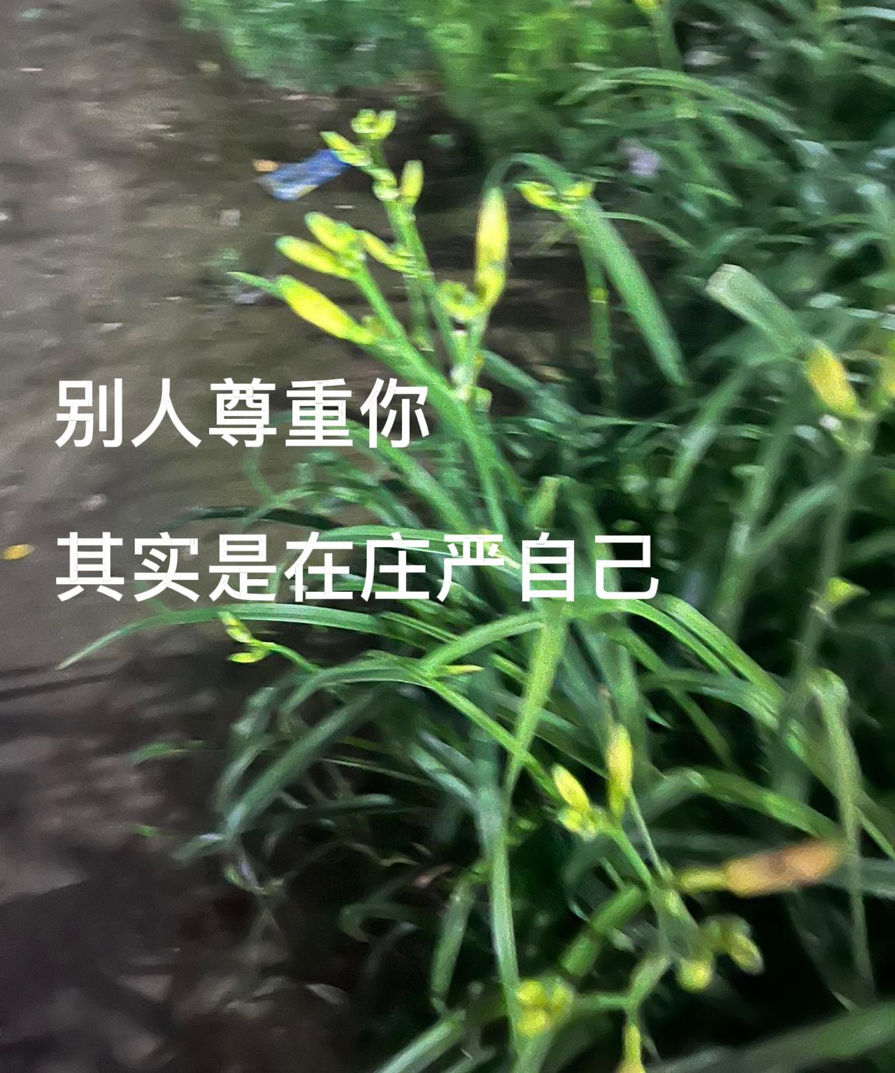 读到一句话。福不可享尽，事不可用尽，敬人等敬己
。
我们经常会刷到，某某人富豪或