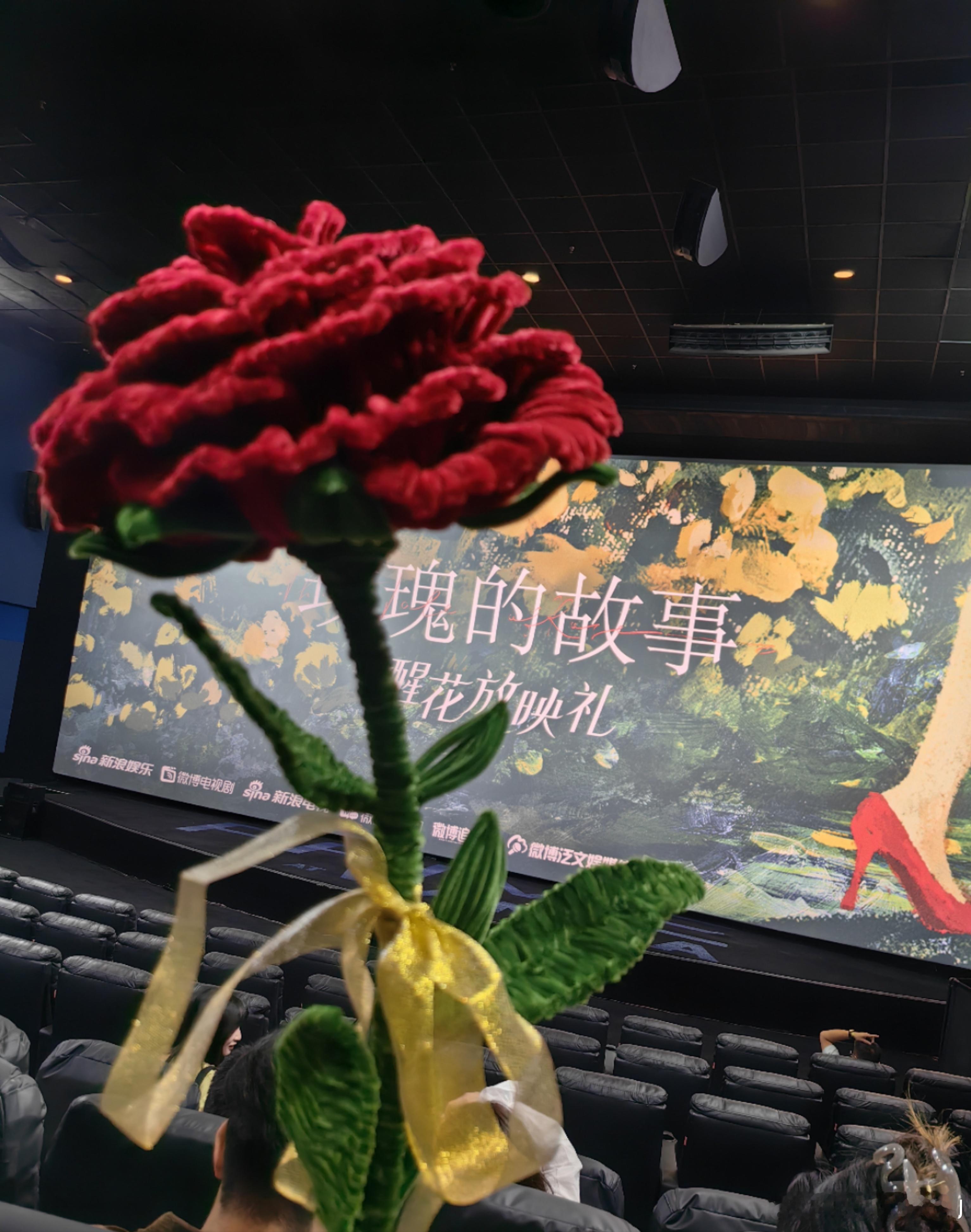 来，看到了 #玫瑰的故事# 几集的片段，从一下午能看完的小说发展程序要热热闹闹追