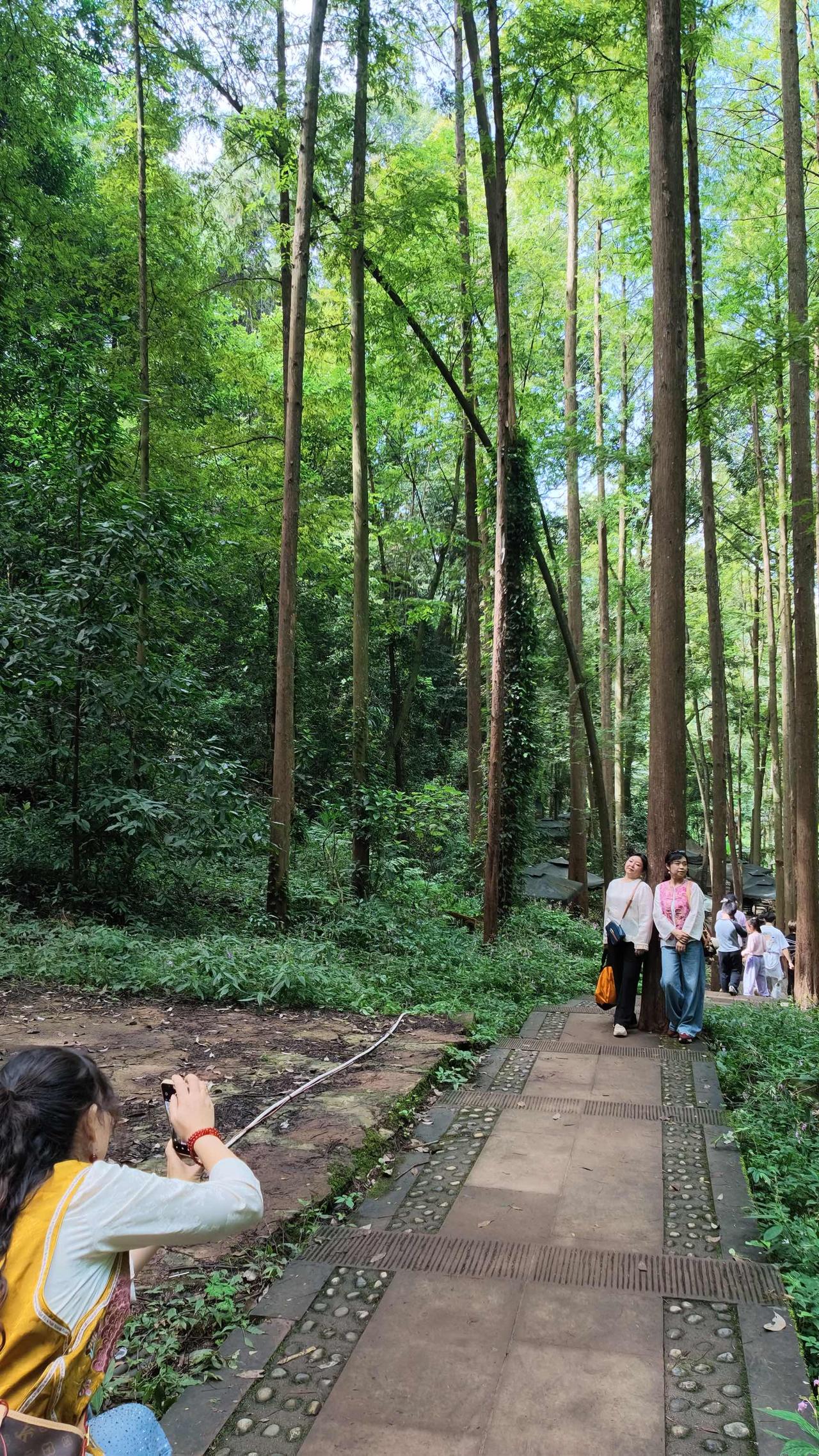 探访光严禅院：爬一小时山遇见的千年古寺
 国庆假期从崇州街子古镇往凤栖山上爬，走