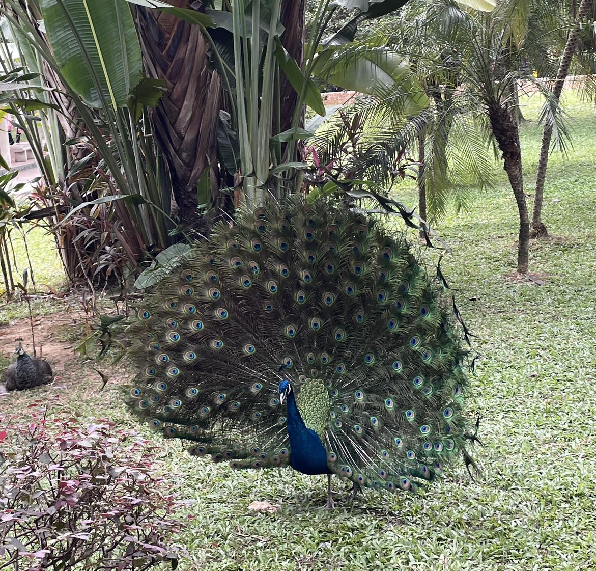 我的今日状态：😁轻松愉快
我这里的天气：🌤️多云