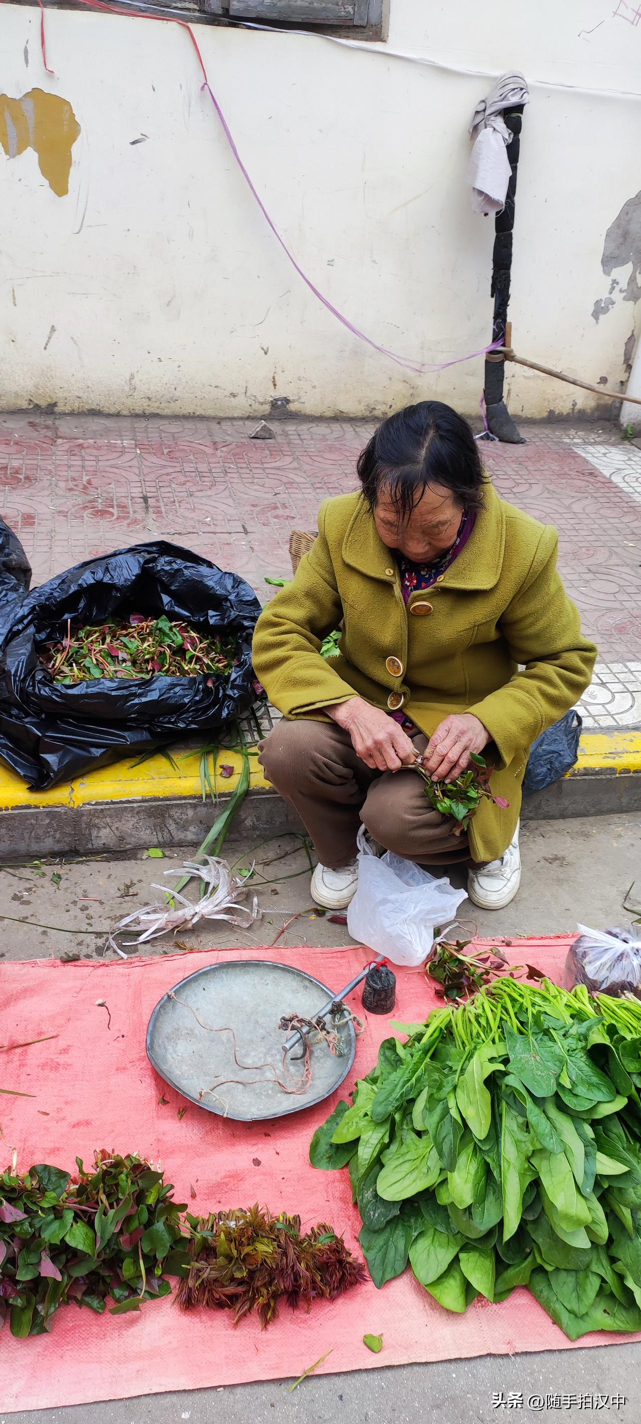 农贸市场的鱼腥草都是现扎出售的，1元4把。鱼腥草可是极具爆发力的灵魂菜肴，对于我